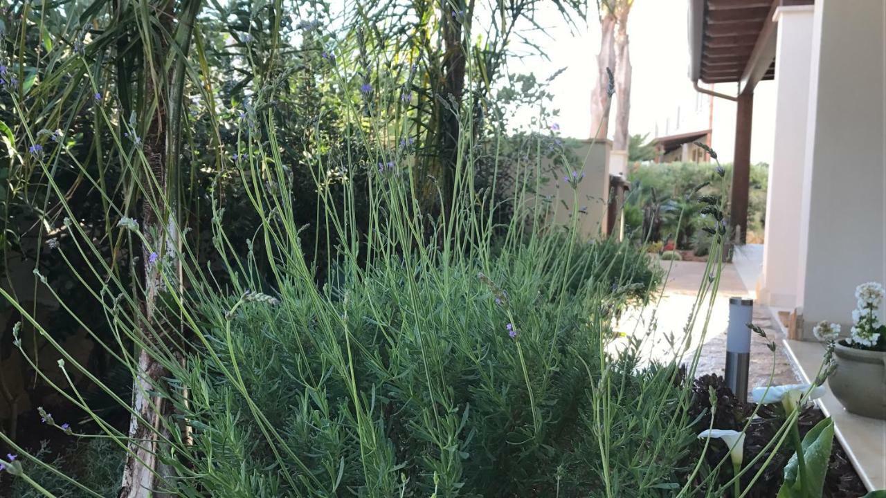 Cima Bianca Bed & Breakfast San Vito Lo Capo Bagian luar foto