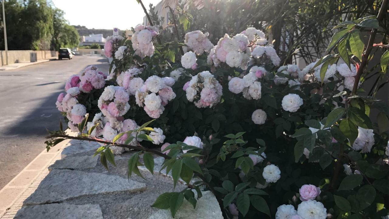 Cima Bianca Bed & Breakfast San Vito Lo Capo Bagian luar foto