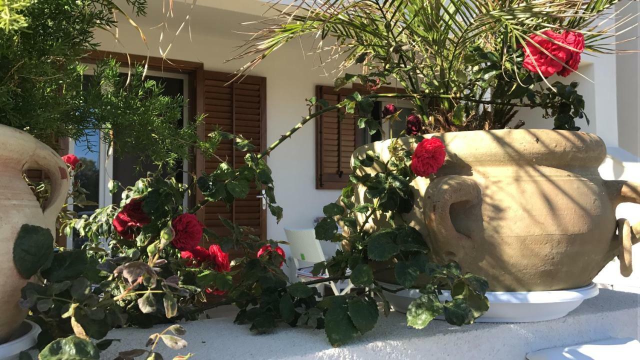 Cima Bianca Bed & Breakfast San Vito Lo Capo Bagian luar foto