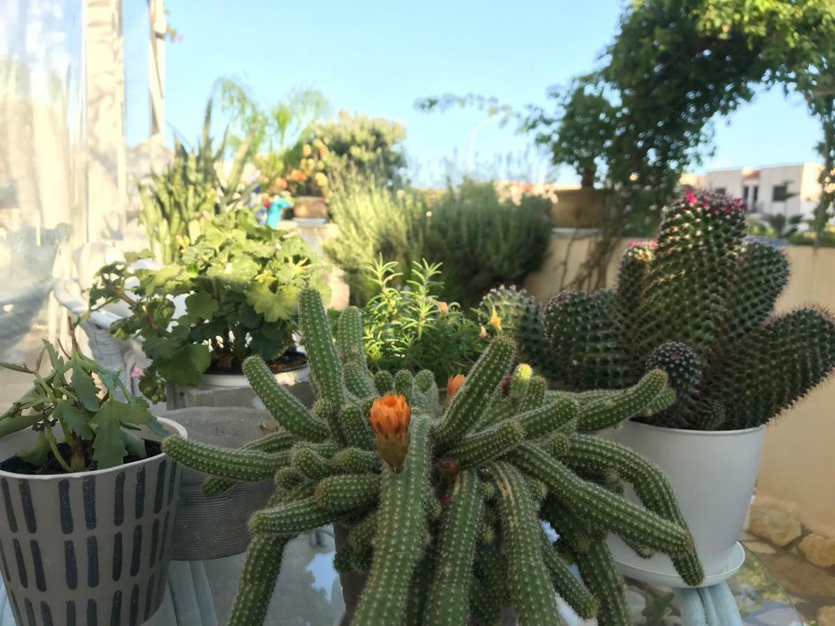 Cima Bianca Bed & Breakfast San Vito Lo Capo Bagian luar foto